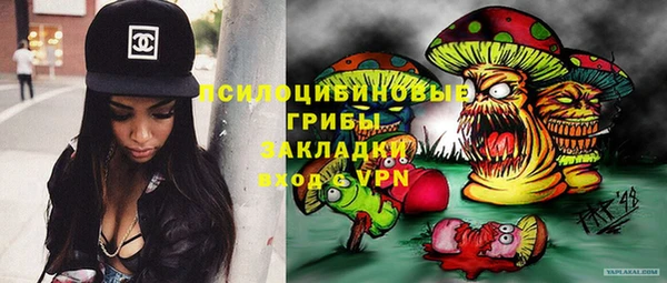 бошки Алексин